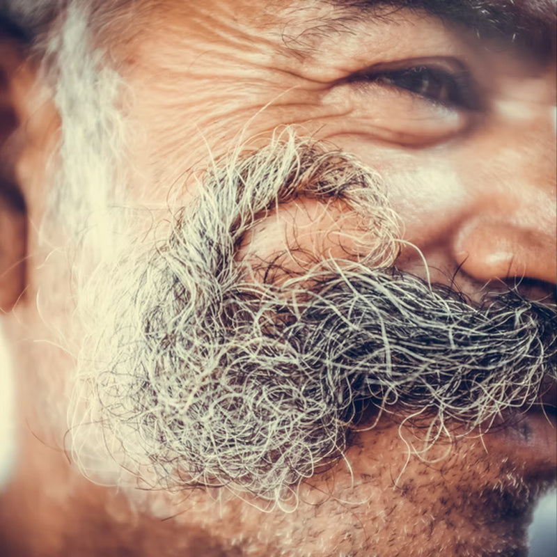 I'll be Gone 'til Movember