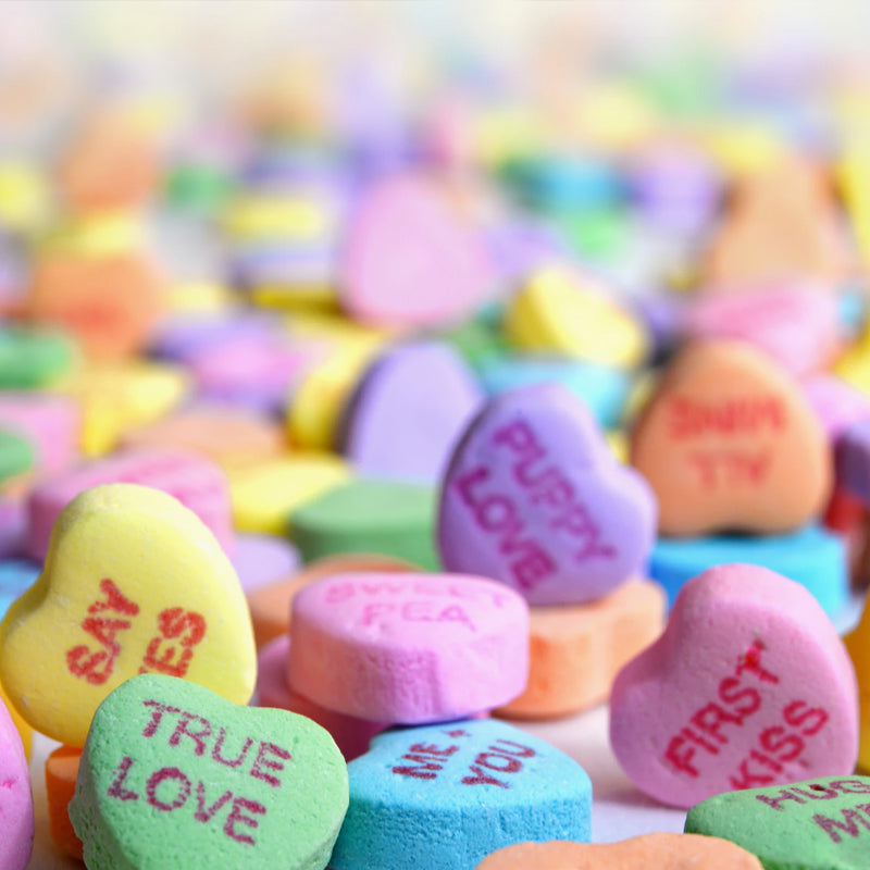 What Men Really Want - A Valentine's Day Guide